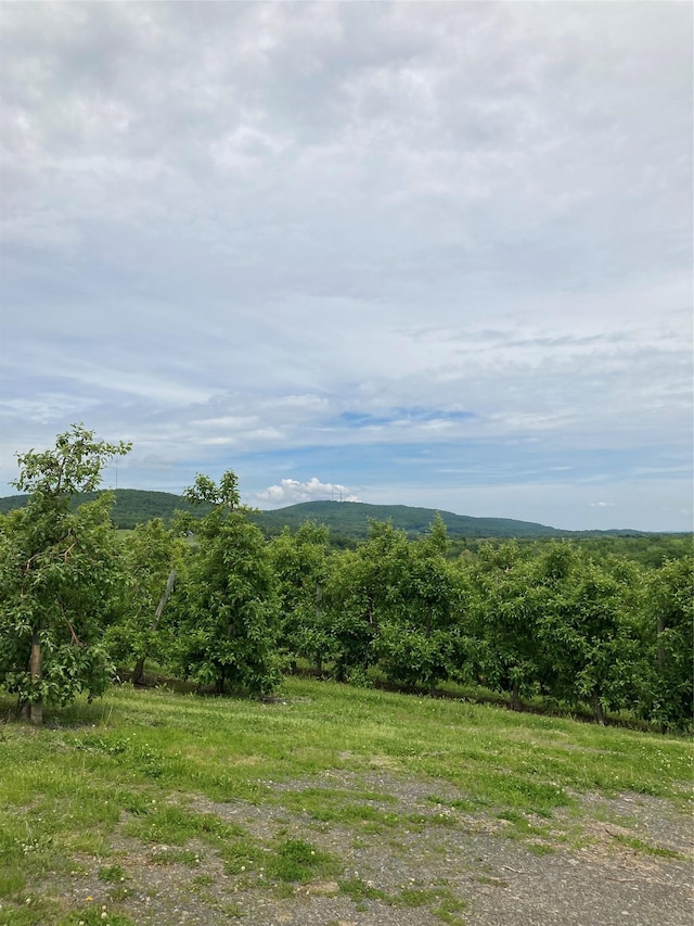 73 Peach Ln, Clintondale, NY 12515