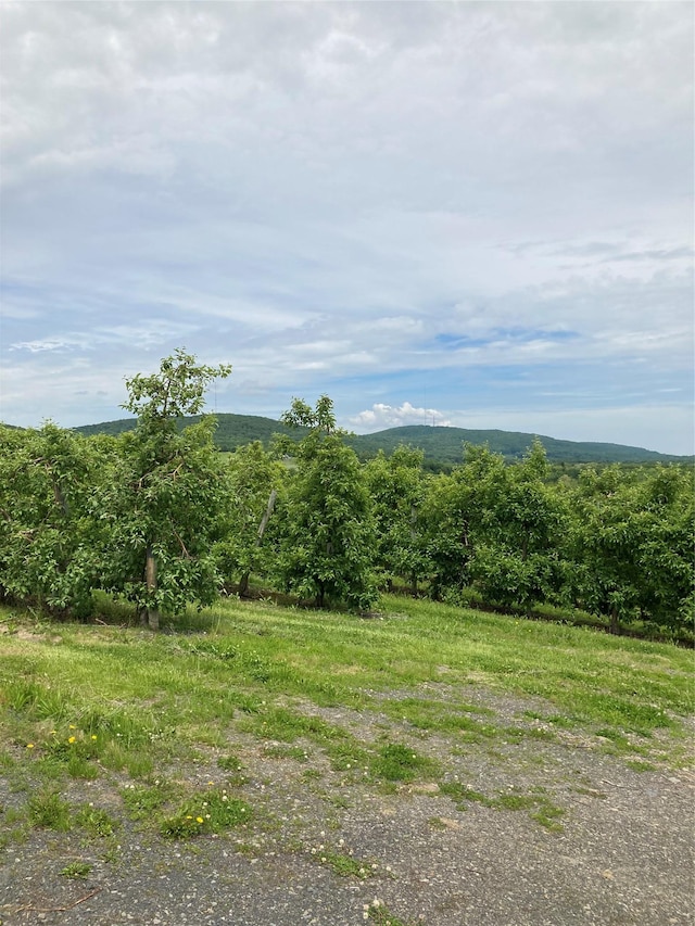 73 Peach Ln, Clintondale, NY 12515