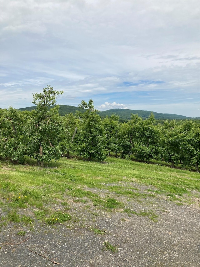 73 Peach Ln, Clintondale, NY 12515