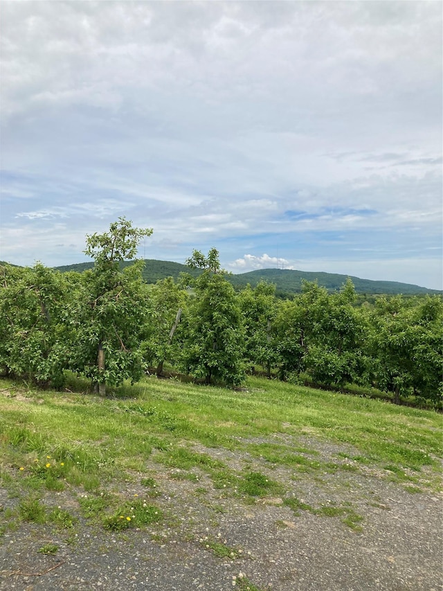 73 Peach Ln, Clintondale, NY 12515