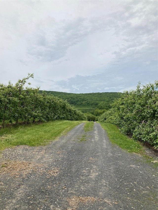 73 Peach Ln, Clintondale, NY 12515