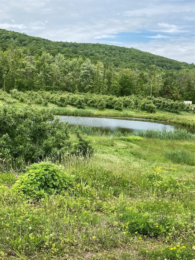 73 Peach Ln, Clintondale, NY 12515