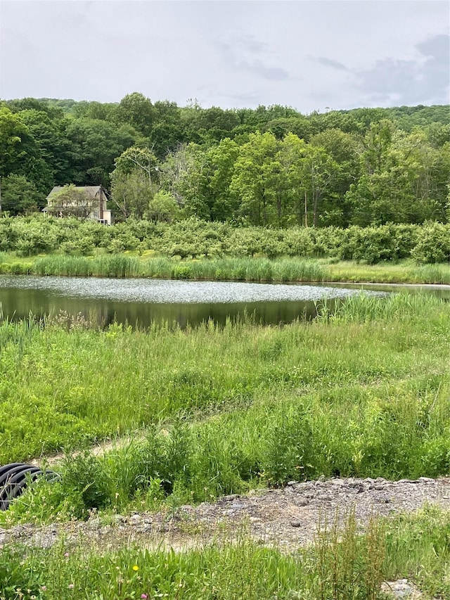 73 Peach Ln, Clintondale, NY 12515