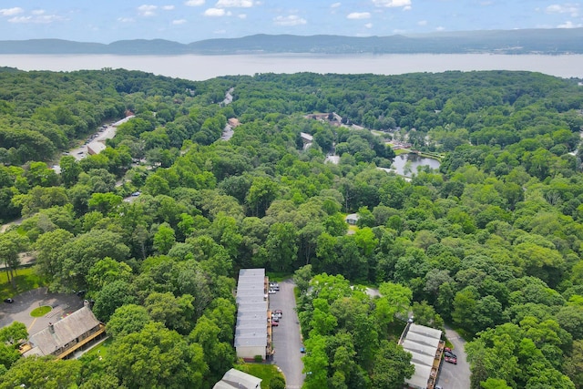 37 Scenic Cir, Croton-On-Hudson, NY 10520 - bird's eye view of a heavily wooded area and a nearby body of water