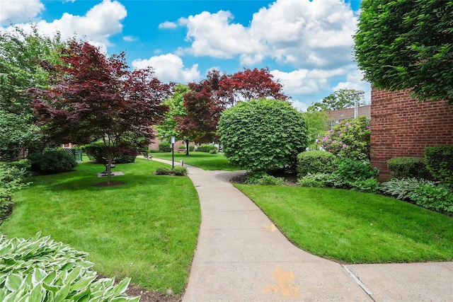 200 N Village Ave Unit D5, Rockville Centre, NY 11570 - surrounding community featuring a lawn
