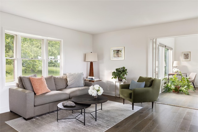 62 Hicks Ln, Clinton Corners, NY 12514 - living room featuring wood finished floors and baseboards