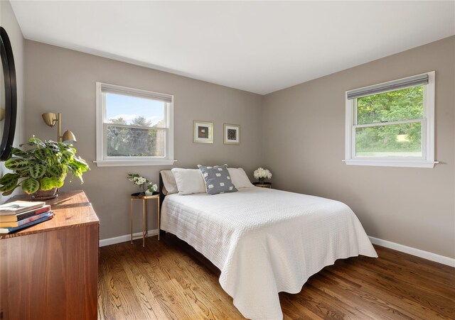 62 Hicks Ln, Clinton Corners, NY 12514 - bedroom featuring baseboards, multiple windows, and wood finished floors