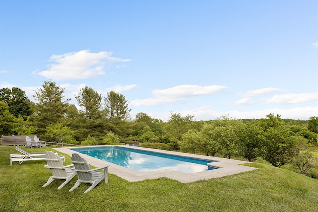 62 Hicks Ln, Clinton Corners, NY 12514 - outdoor pool featuring a yard and a forest view