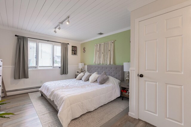29 Mckinley Ave, Lindenhurst, NY 11757 - bedroom with baseboard heating, a wainscoted wall, light wood-style flooring, track lighting, and ornamental molding