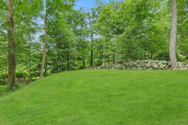 12 Bogtown Rd, North Salem, NY 10560 - photo 23