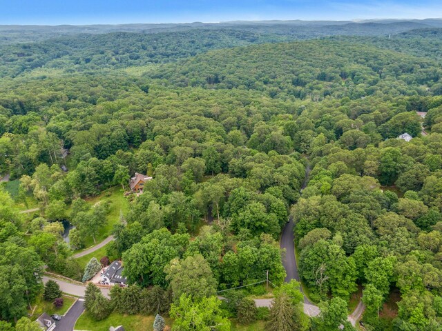 12 Bogtown Rd, North Salem, NY 10560 - photo 25