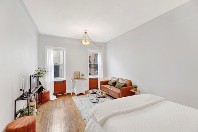 50 Lefferts Ave Unit 6M, Brooklyn, NY 11225 - bedroom with radiator heating unit and wood finished floors