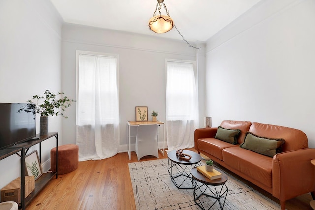 50 Lefferts Ave Unit 6M, Brooklyn, NY 11225 - living area with wood finished floors