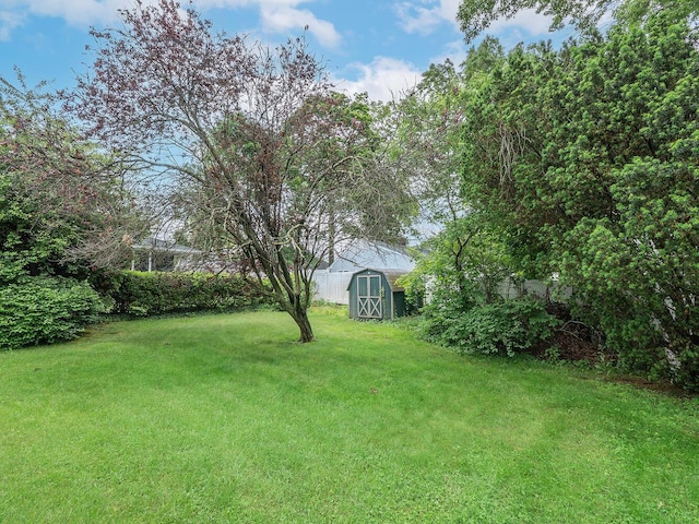 3 3rd St, Glenwood Landing, NY 11547 - view of green lawn
