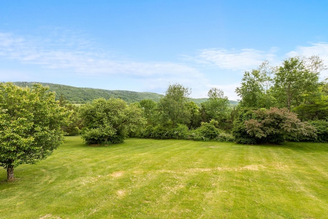 198 Benson Hill Rd, Dover Plains, NY 12522 - photo 21