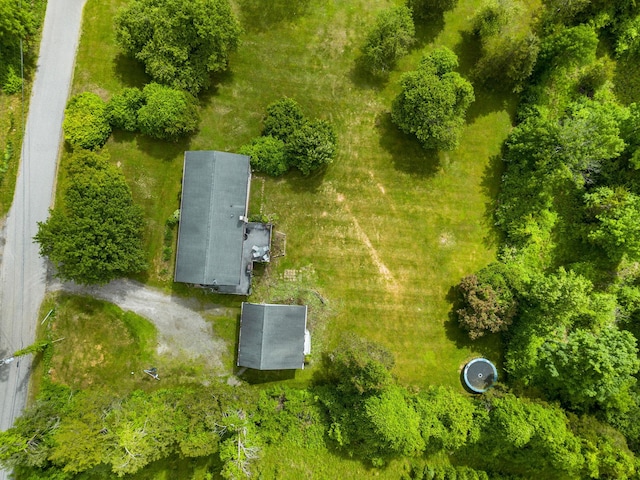 198 Benson Hill Rd, Dover Plains, NY 12522 - photo 26