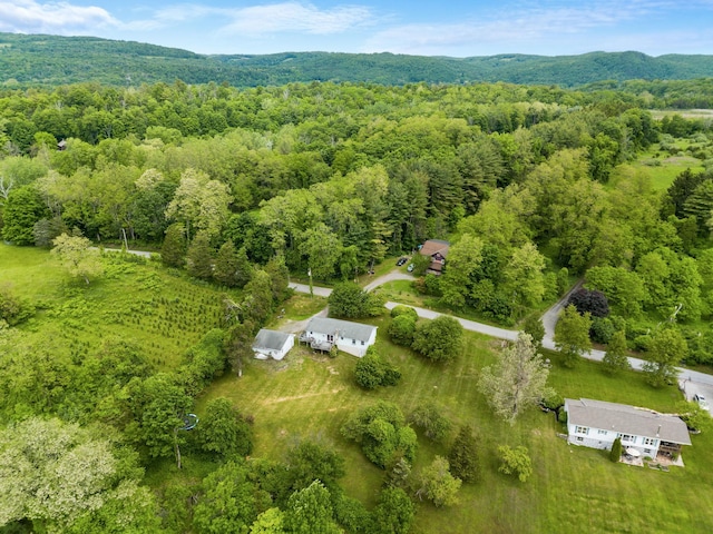 198 Benson Hill Rd, Dover Plains, NY 12522 - photo 27