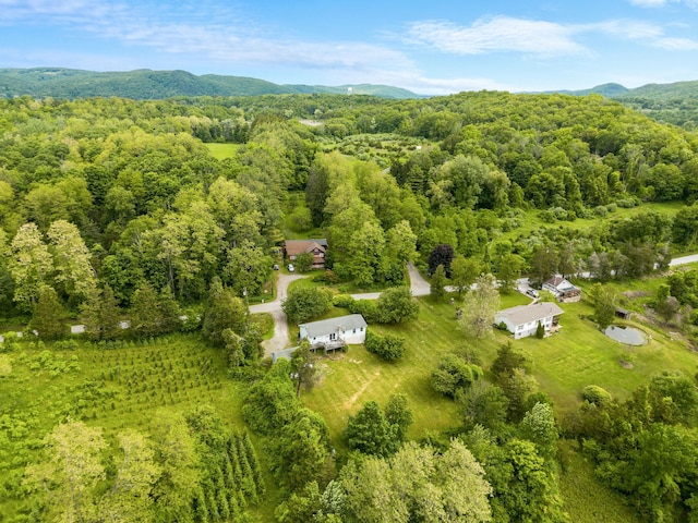 198 Benson Hill Rd, Dover Plains, NY 12522 - photo 28