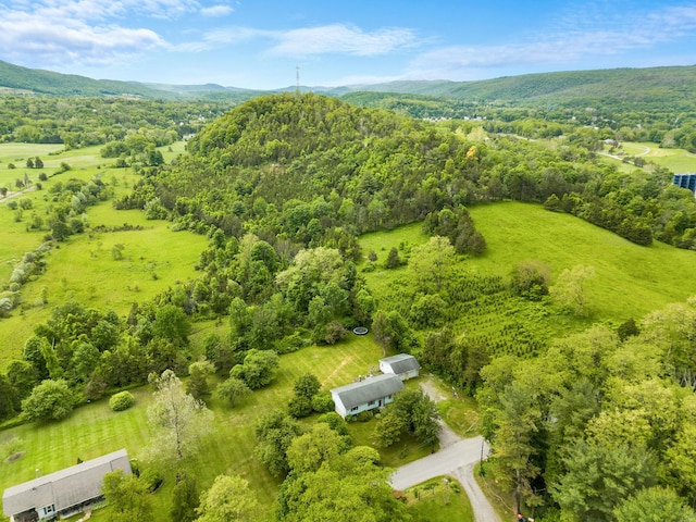 198 Benson Hill Rd, Dover Plains, NY 12522 - photo 29