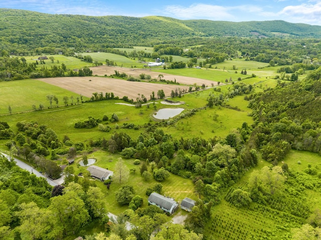 198 Benson Hill Rd, Dover Plains, NY 12522 - photo 30
