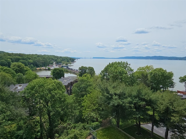 16 Rockledge Ave Unit 5B1, Ossining, NY 10562 - water view