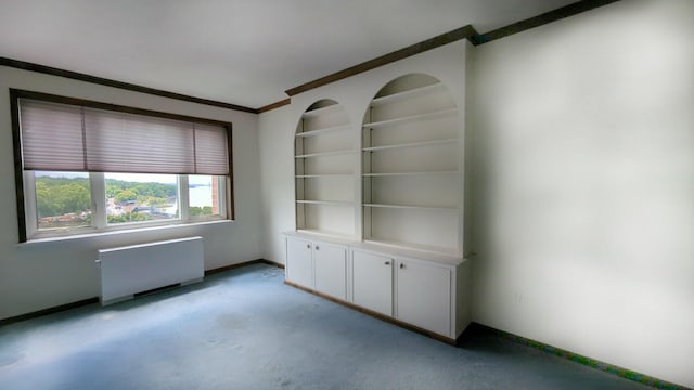 16 Rockledge Ave Unit 5B1, Ossining, NY 10562 - spare room with radiator, ornamental molding, light colored carpet, and baseboards