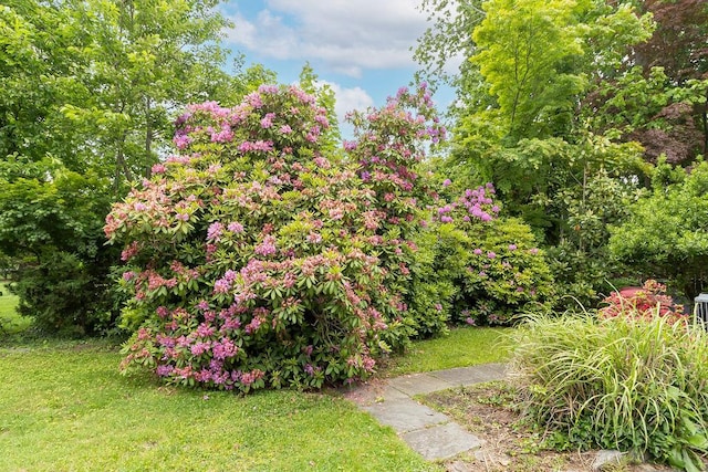 21 Maple Rd, Setauket, NY 11733 - view of grassy yard