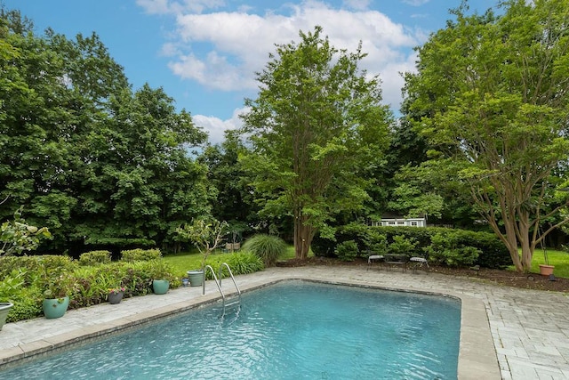 21 Maple Rd, Setauket, NY 11733 - outdoor pool with a patio and view of wooded area