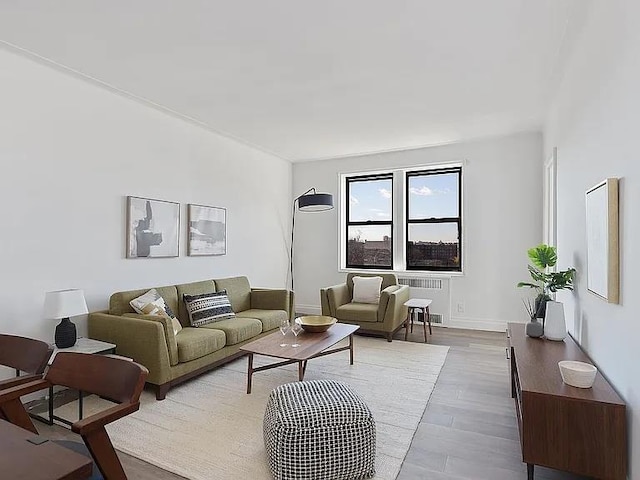 4035 Ithaca St Unit 6F, Elmhurst, NY 11373 - living area with radiator heating unit, wood finished floors, and baseboards