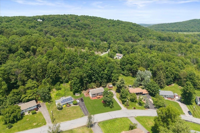 15 Mari Rd, Chester, NY 10918 - bird's eye view of a forest