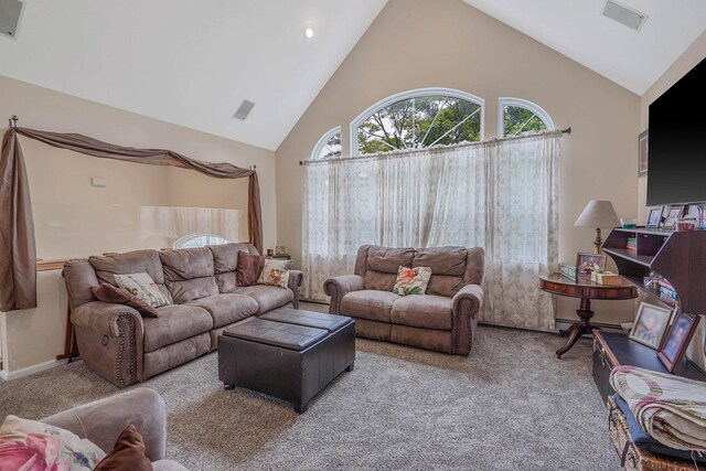 14 Arlington St, Patchogue, NY 11772 - living area with carpet flooring, high vaulted ceiling, and a baseboard heating unit