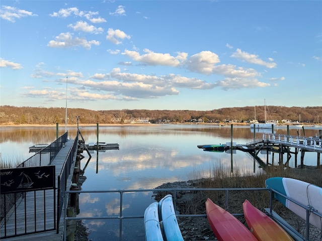 57 Harbor Park Dr, Centerport, NY 11721 - dock featuring a water view and a forest view