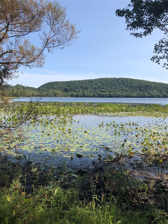 173 Massachusetts Ave, Congers, NY 10920 - water view featuring a heavily wooded area