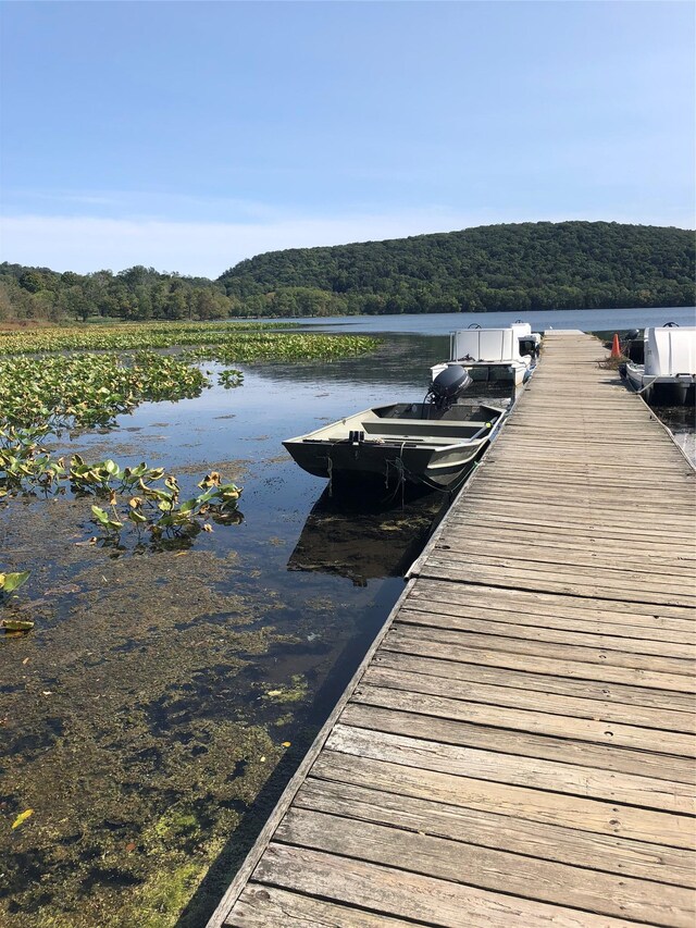 173 Massachusetts Ave, Congers, NY 10920 - dock featuring a water view and a view of trees