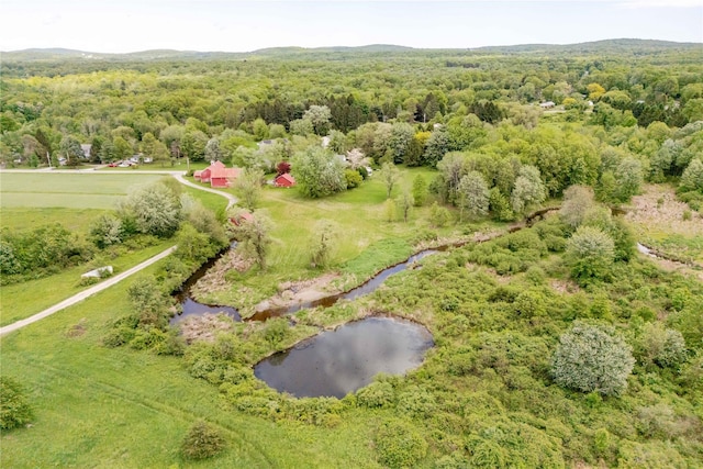 2295 State Route 32 S, New Paltz, NY 12561 - photo 34