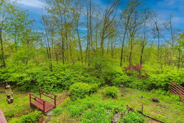 16 Arbor Trl, Monroe, NY 10950 - view of yard featuring a wooded view
