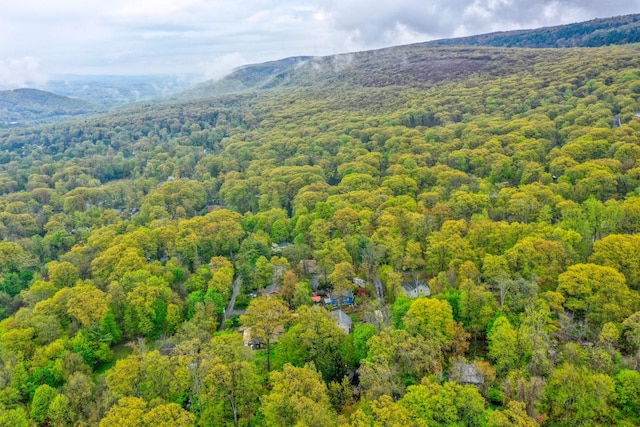 16 Arbor Trl, Monroe, NY 10950 - bird's eye view of a heavily wooded area and a mountain backdrop