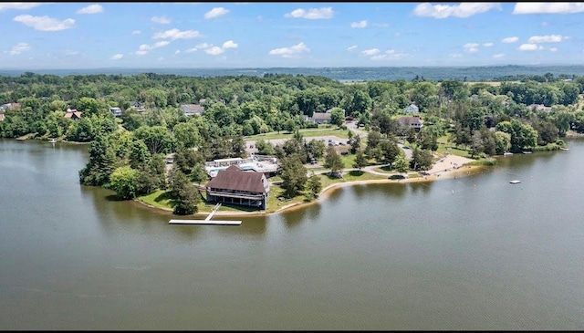 29 Fallen Tree Ln, Athens, NY 12051 - bird's eye view of a large body of water and a heavily wooded area