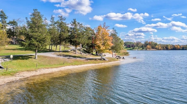 29 Fallen Tree Ln, Athens, NY 12051 - water view