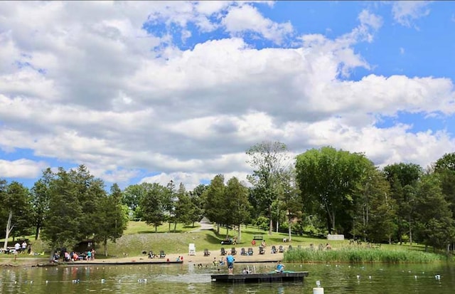 29 Fallen Tree Ln, Athens, NY 12051 - dock with a water view and view of wooded area
