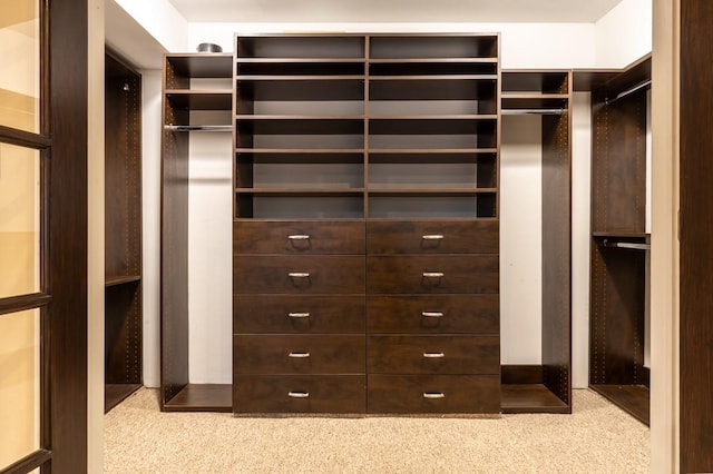 135 Ocean Ave, Massapequa, NY 11758 - walk in closet with carpet floors