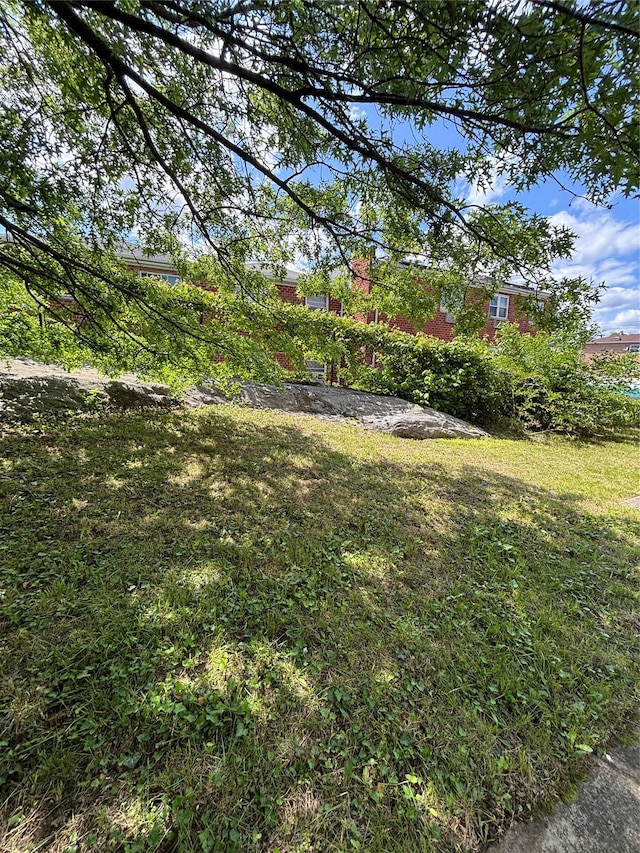 2110 Light St, Bronx, NY 10466 - view of grassy yard