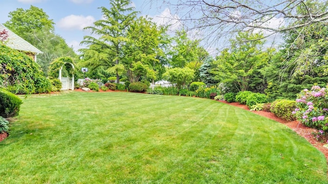 1260 Water Ter, Southold, NY 11971 - view of grassy yard