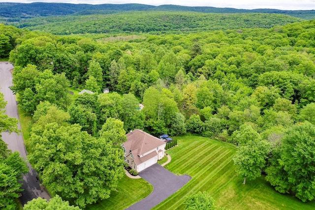 66 Carol Ln, Poughquag, NY 12570 - aerial view of a forest