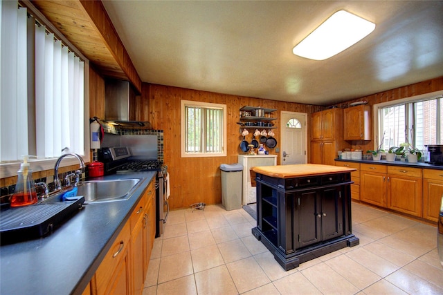 465 Eureka Ave, Elmont, NY 11003 - photo 9