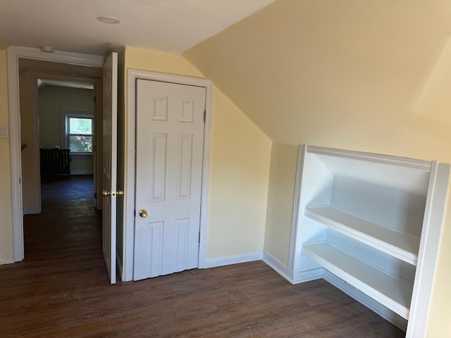 110 Terrace Ave, Elmont, NY 11003 - additional living space featuring dark wood-style flooring, vaulted ceiling, and baseboards