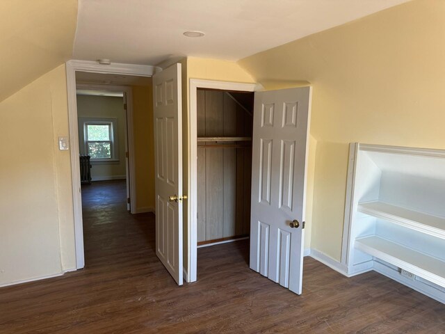 110 Terrace Ave, Elmont, NY 11003 - view of closet