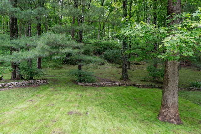 41 Mountain Dr, Pleasant Valley, NY 12569 - photo 34