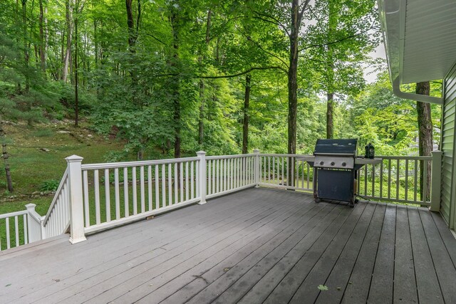 41 Mountain Dr, Pleasant Valley, NY 12569 - photo 32