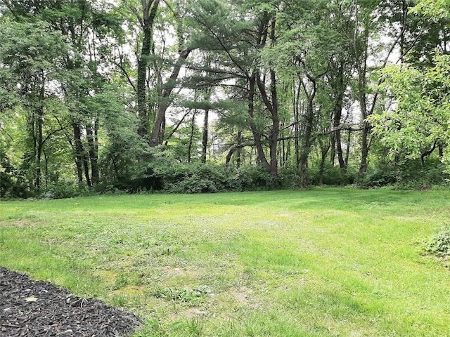 495 Stanton Ter, Poughkeepsie, NY 12603 - view of yard with a wooded view